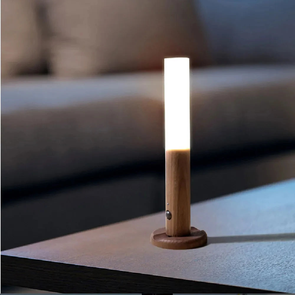 Motion Sensor Night Light 3 Colors