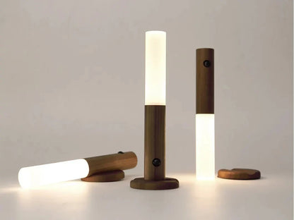 Motion Sensor Night Light 3 Colors