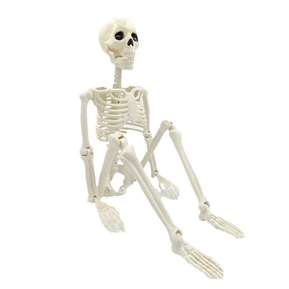 Halloween Human Shape Skeleton