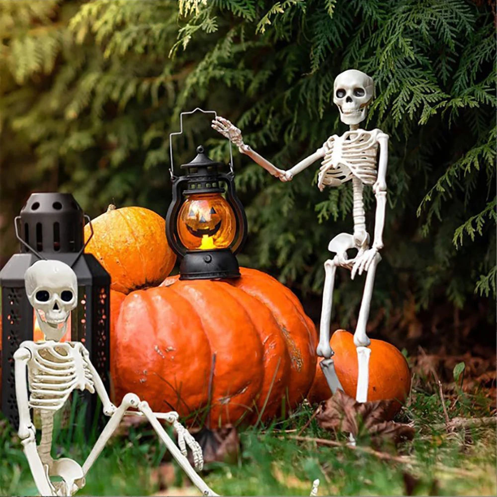 Halloween Human Shape Skeleton