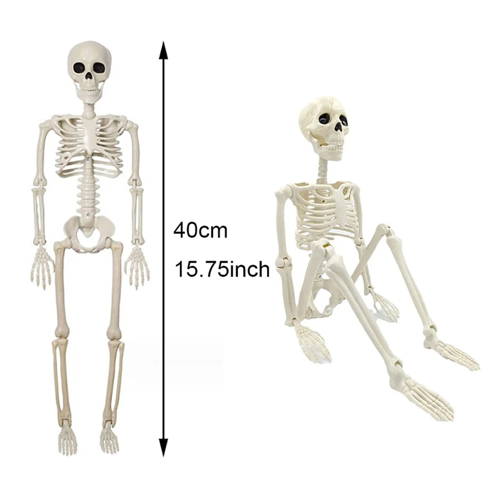 Halloween Human Shape Skeleton